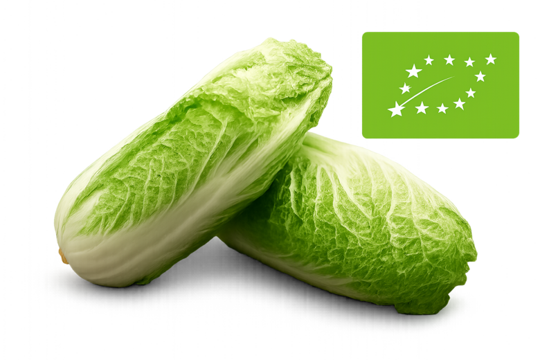 Ķinas jeb Pekinas kāposti bio